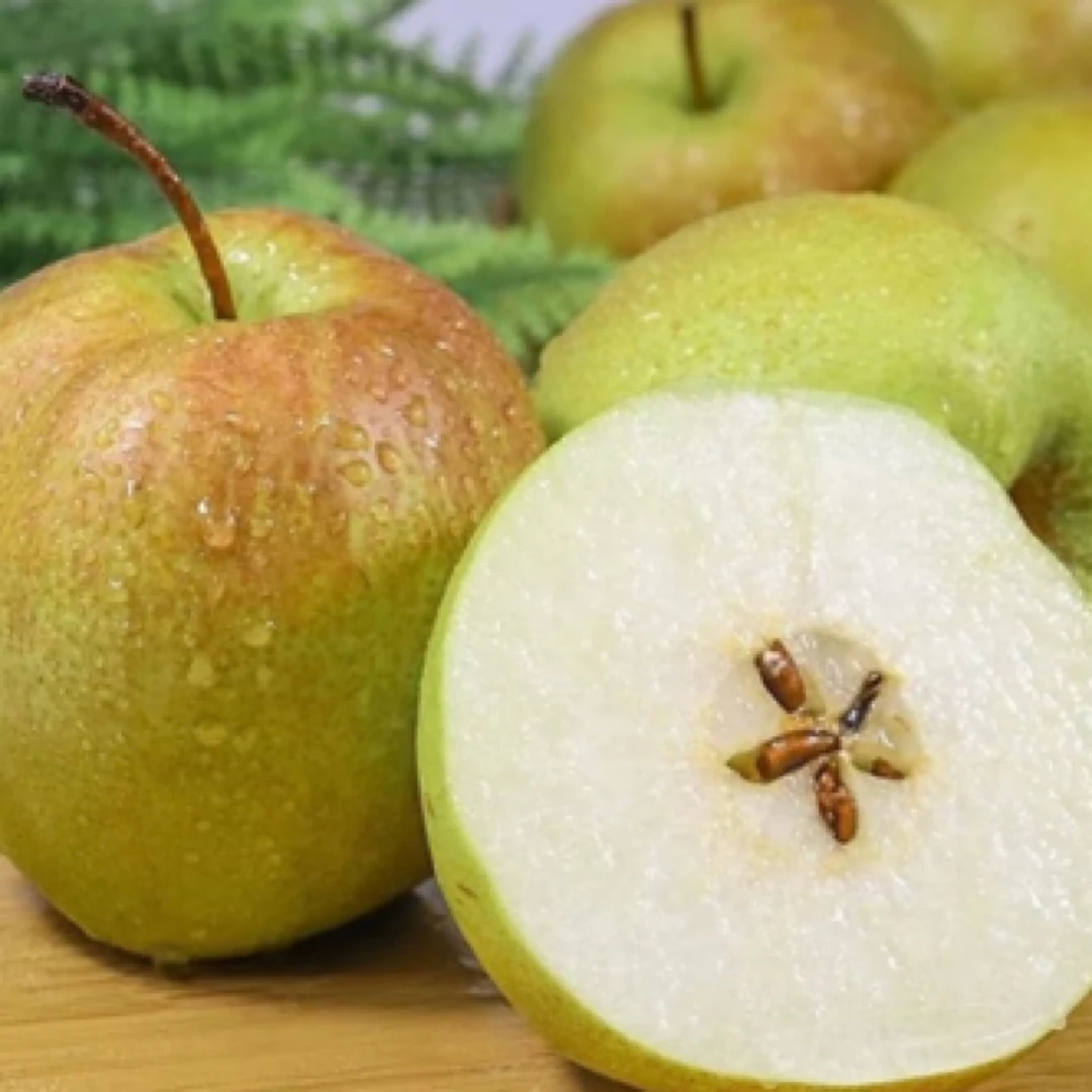 玉露香梨 2个装（不低于500g左右）