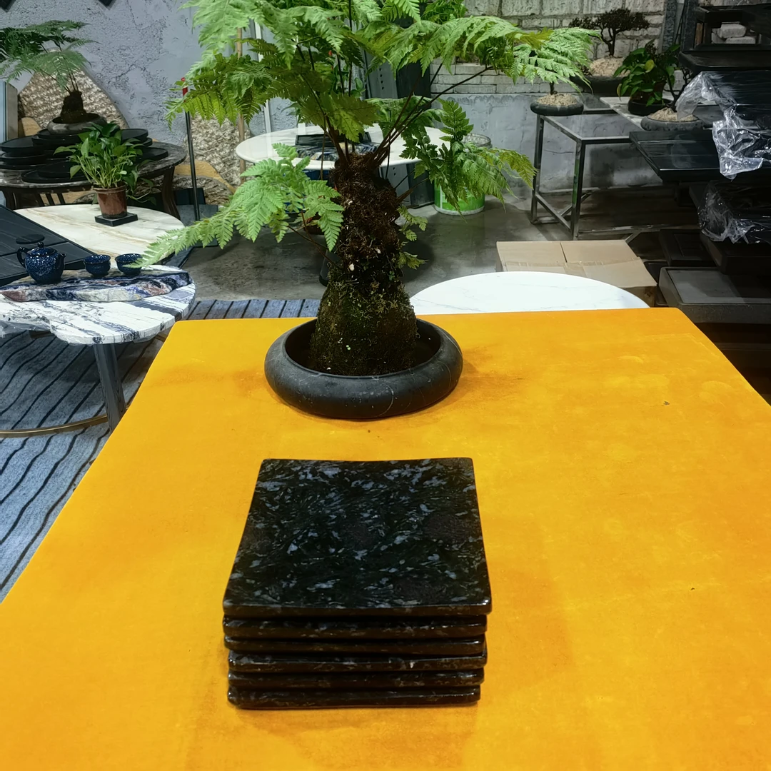 天然奢石夜玫瑰茶壶托小托盘杯托180mm