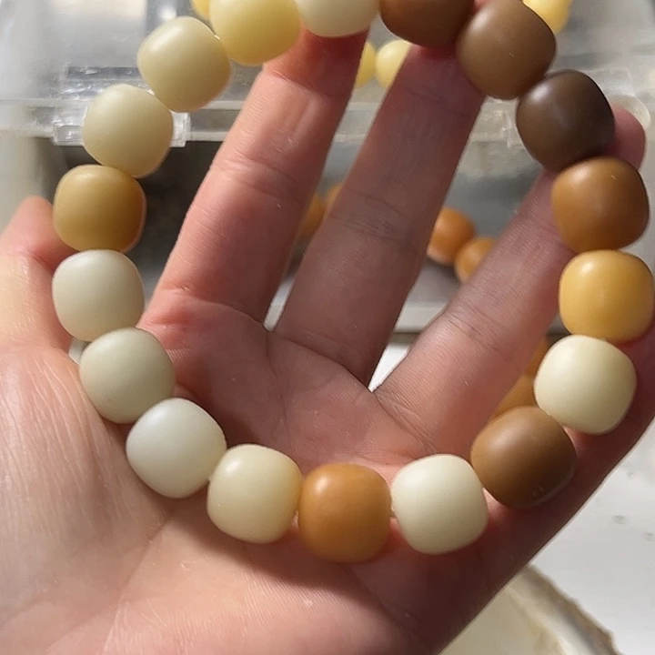 手串菩提根/象牙果