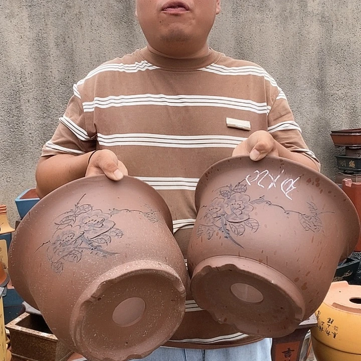 紫砂花盆盆栽观赏