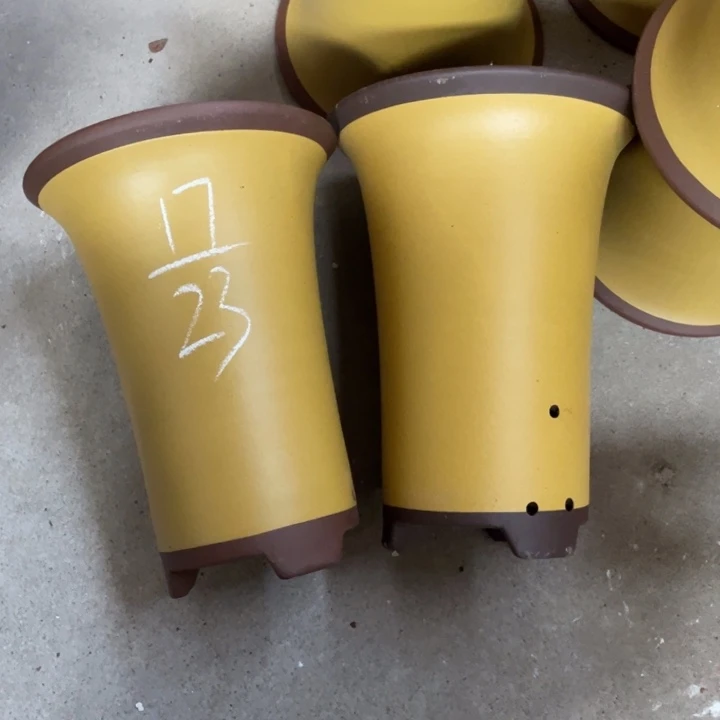 这是真实真实真真真是