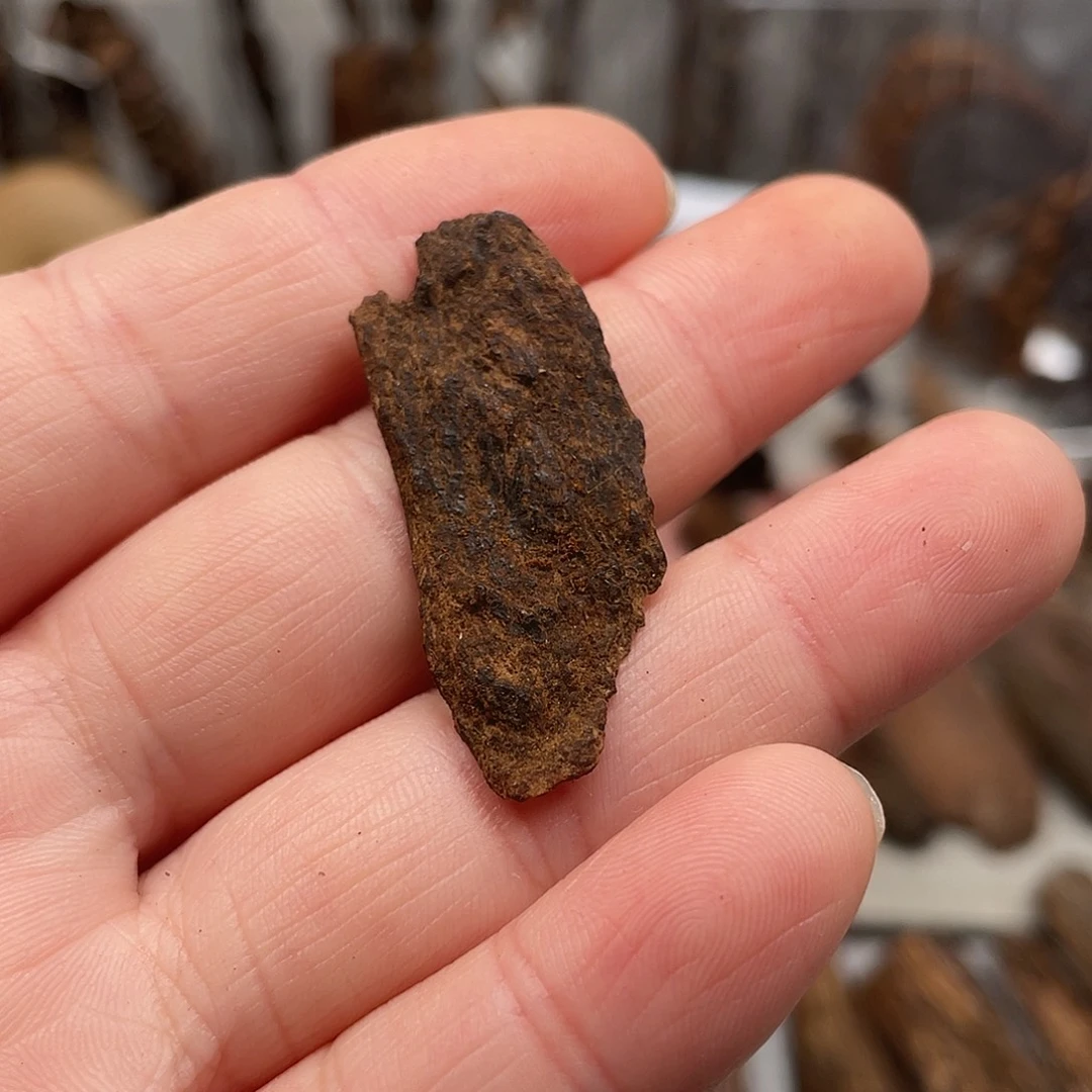 沉香碎屑沉香老惠安九九沉0.75+