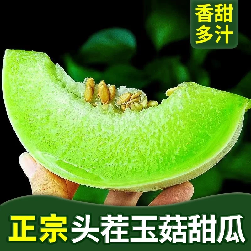 山东玉菇蜜瓜玉菇甜瓜一箱2个约4斤 冰淇淋玉菇甜瓜新鲜山东省