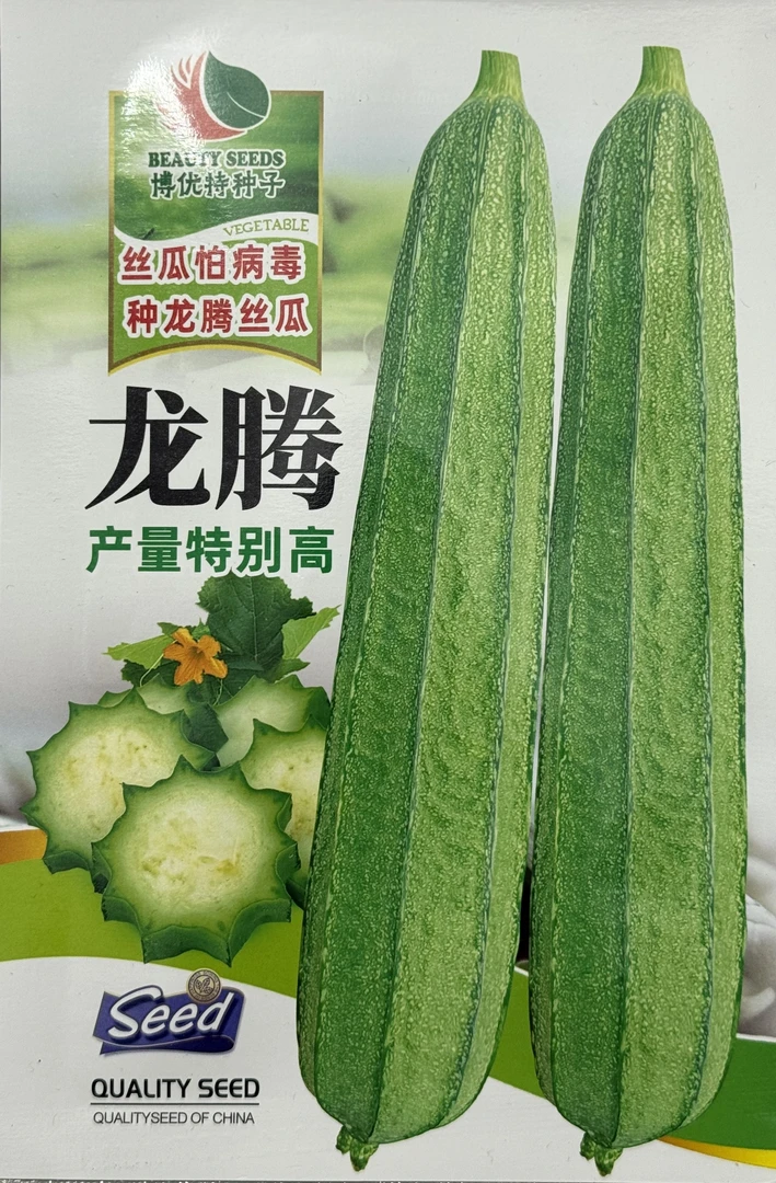 高抗病毒病小花点种子65-75粒，适合海南种植，丝瓜苗秧苗