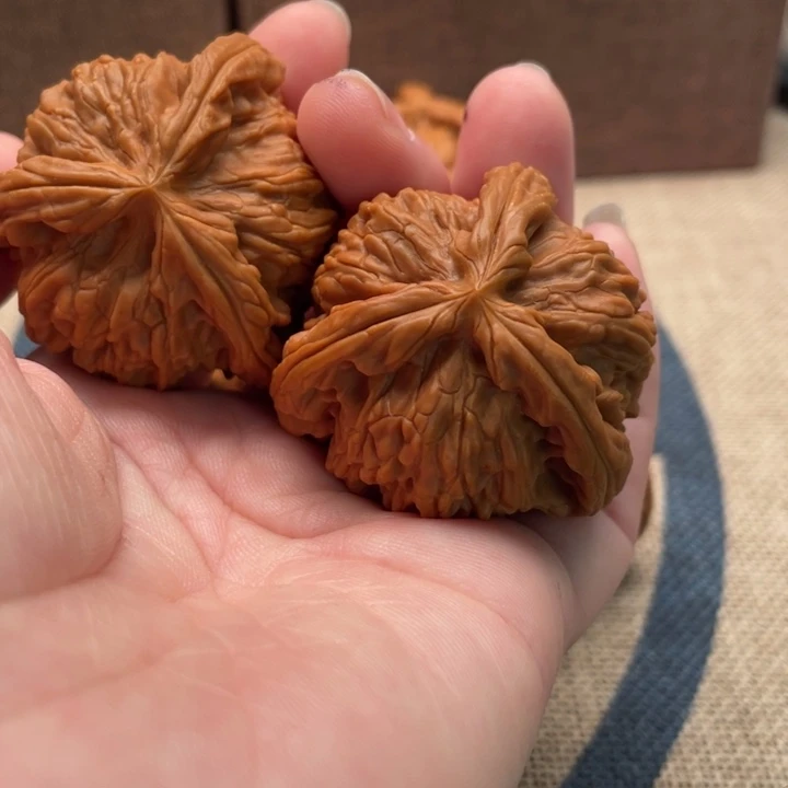 点***人核桃白狮子42核桃