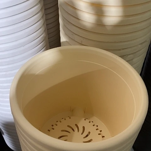 树脂四季5号米黄无托6个