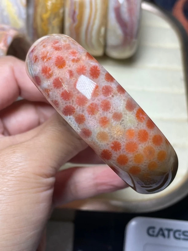 珊瑚玉新年直播大漏