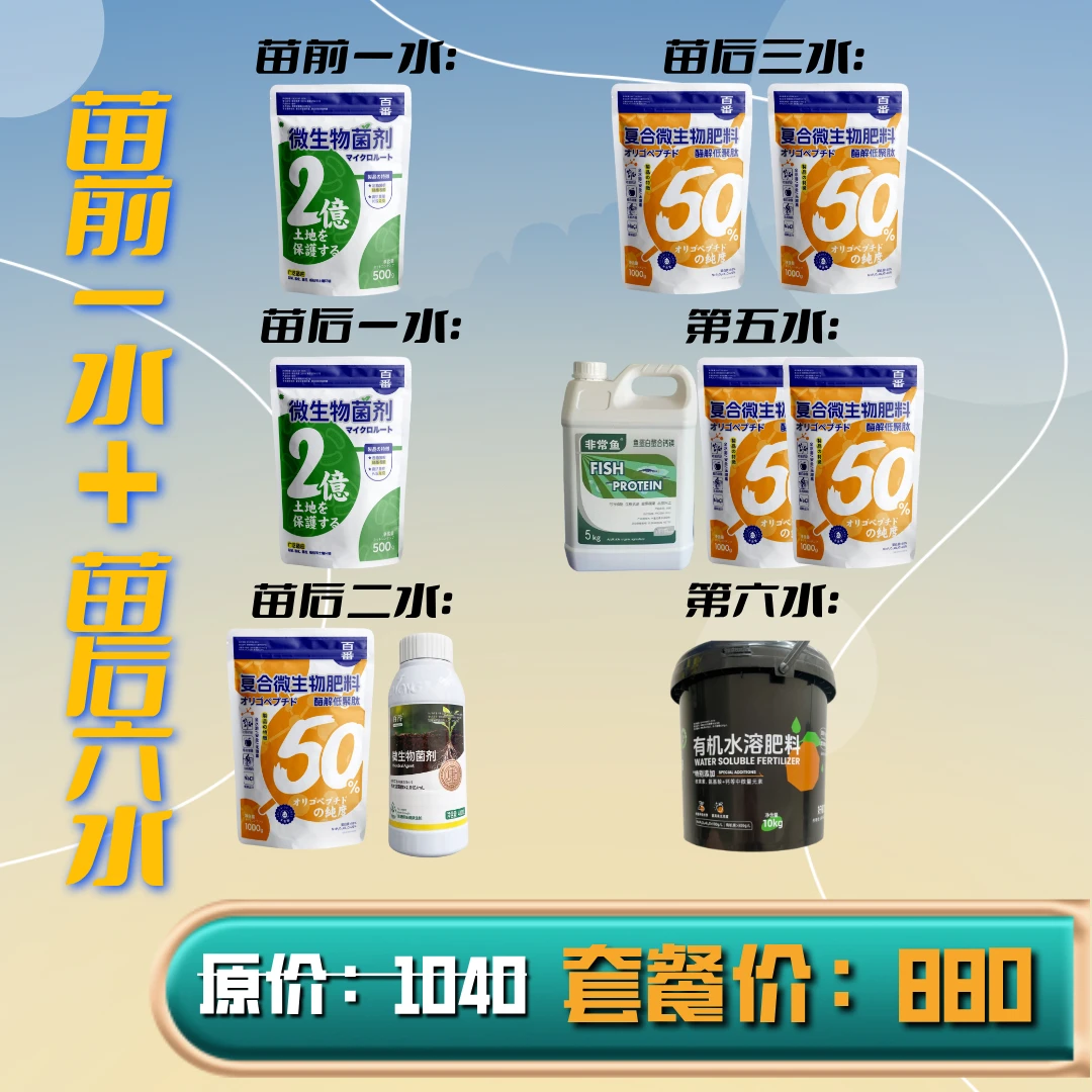 生姜前六水套餐：膨姜增重生根养根提苗壮棵抗逆性叶片宽厚耐储存