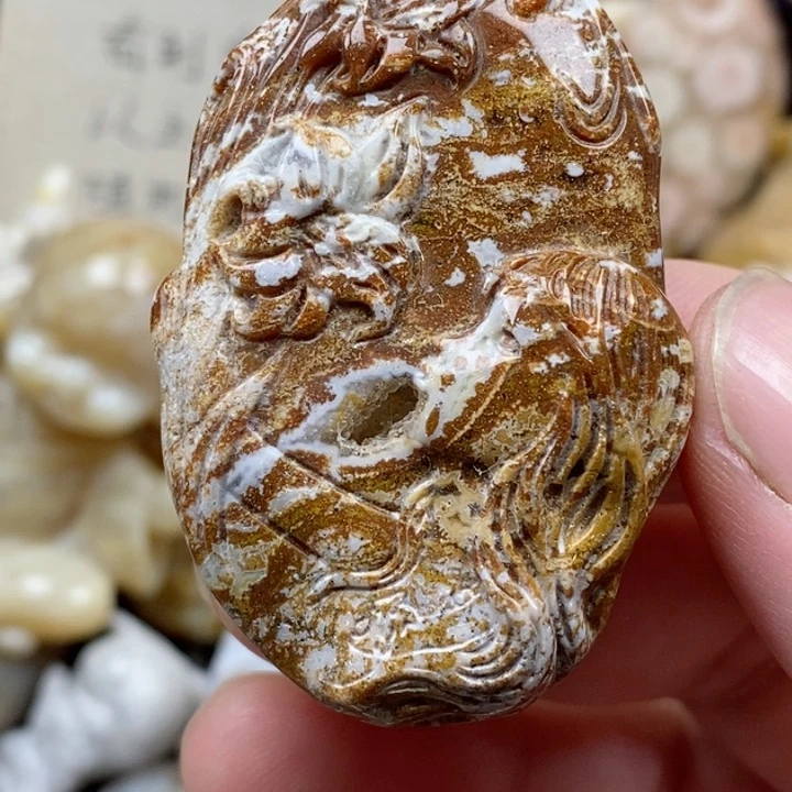 颈饰未镶嵌硅化珊瑚（珊瑚玉）有瑕