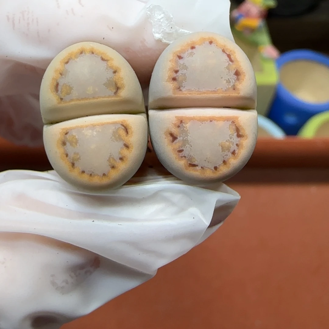 12.27.c216饼干.9030清旧框福利