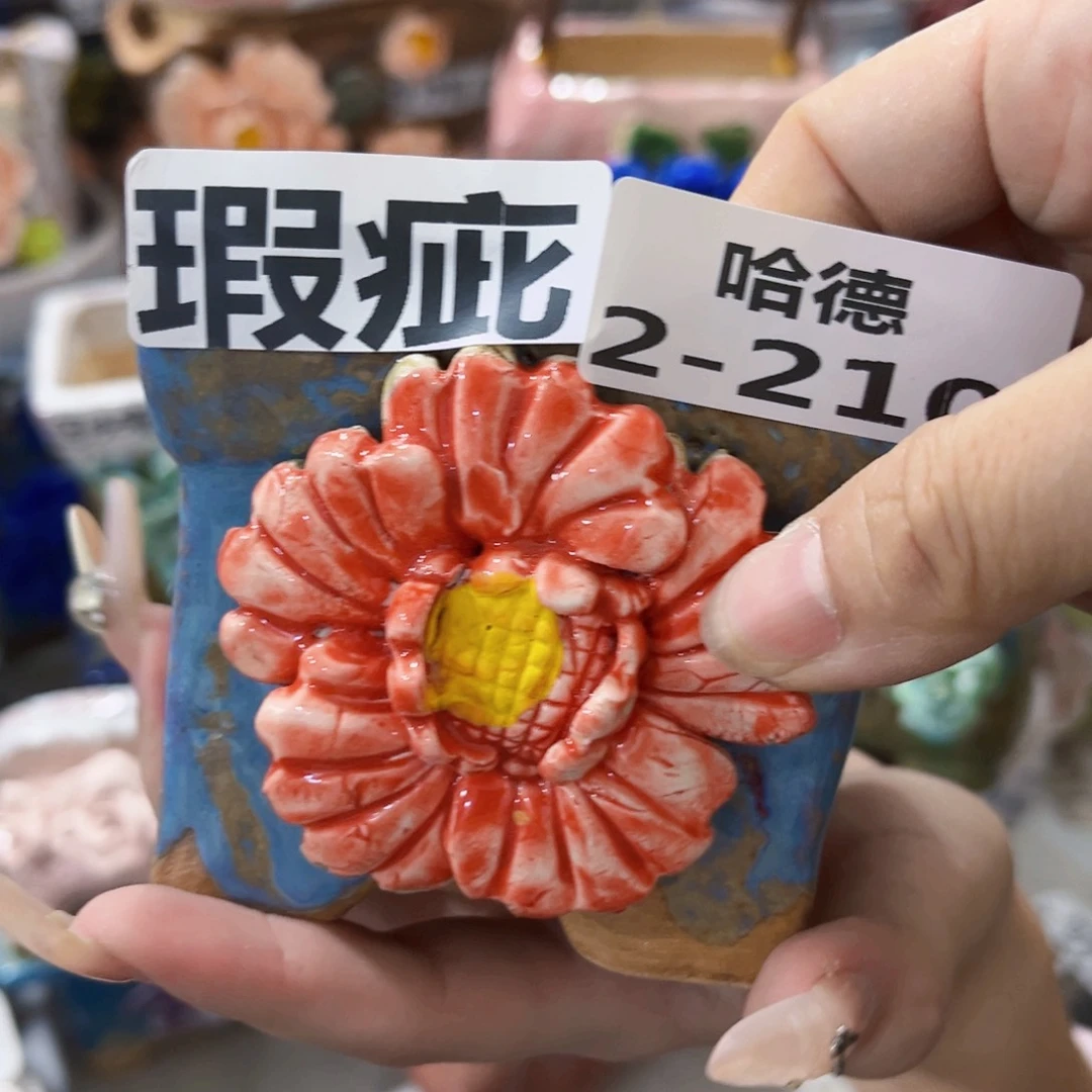 满18.8元包邮发货