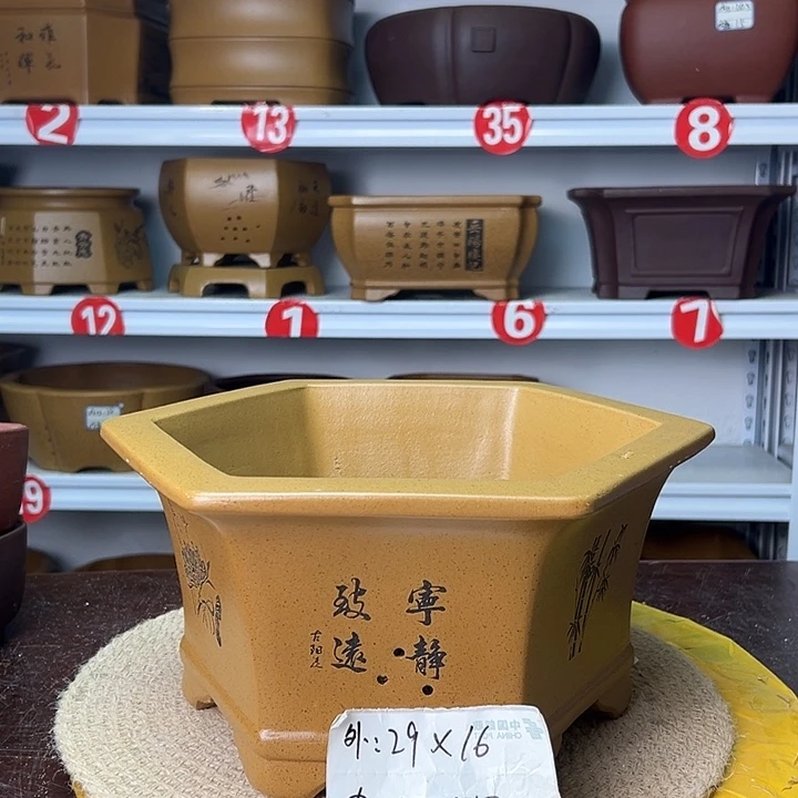 花盆紫砂你在一起