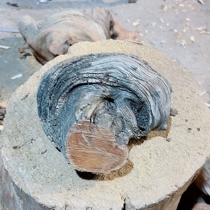 柏木小**艺太行山区柏木木木