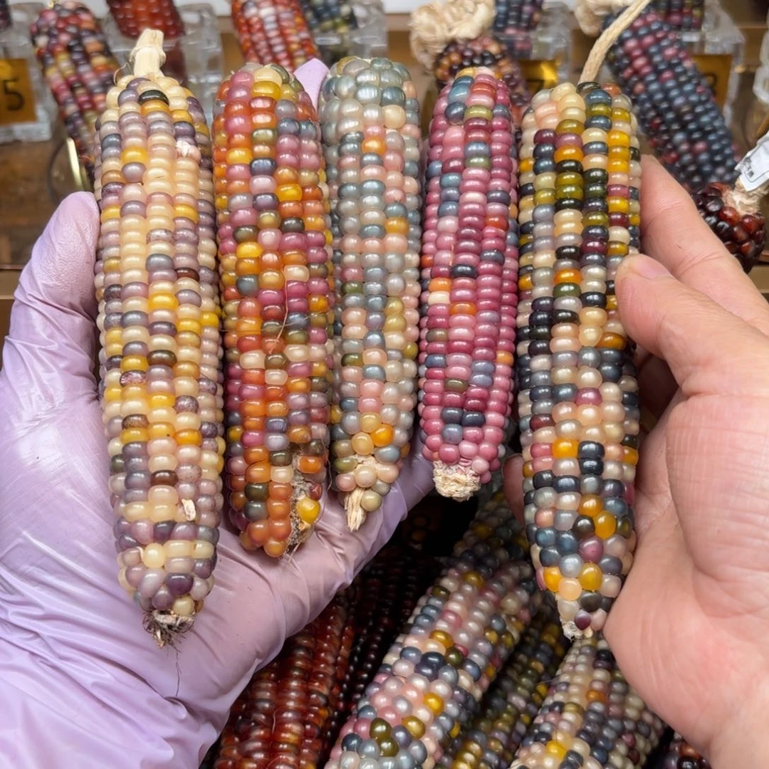 柏香籽/百香籽吊坠小****号