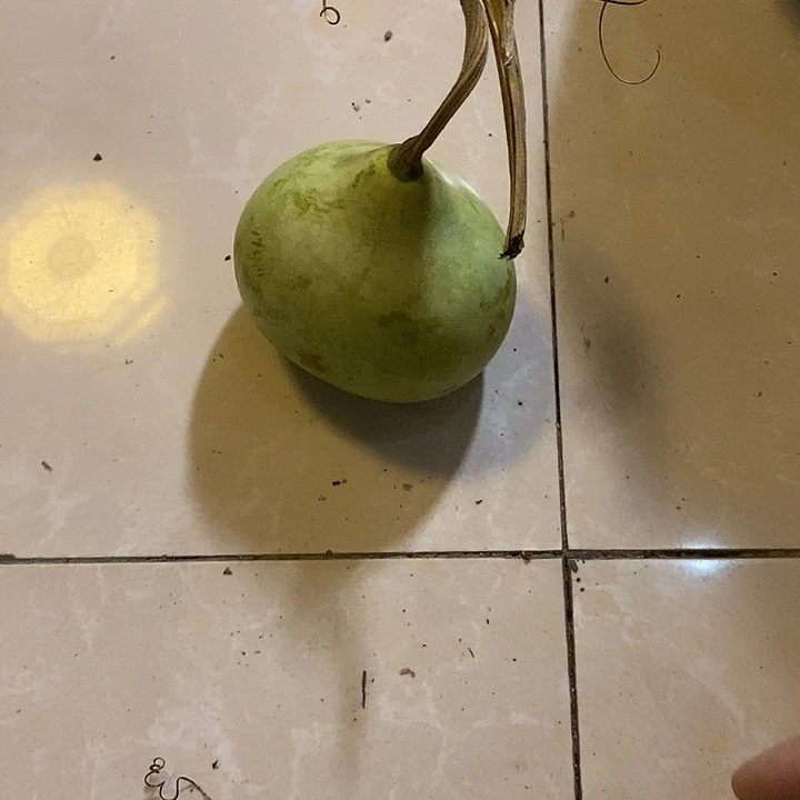 *****青皮葫芦手把件摆件
