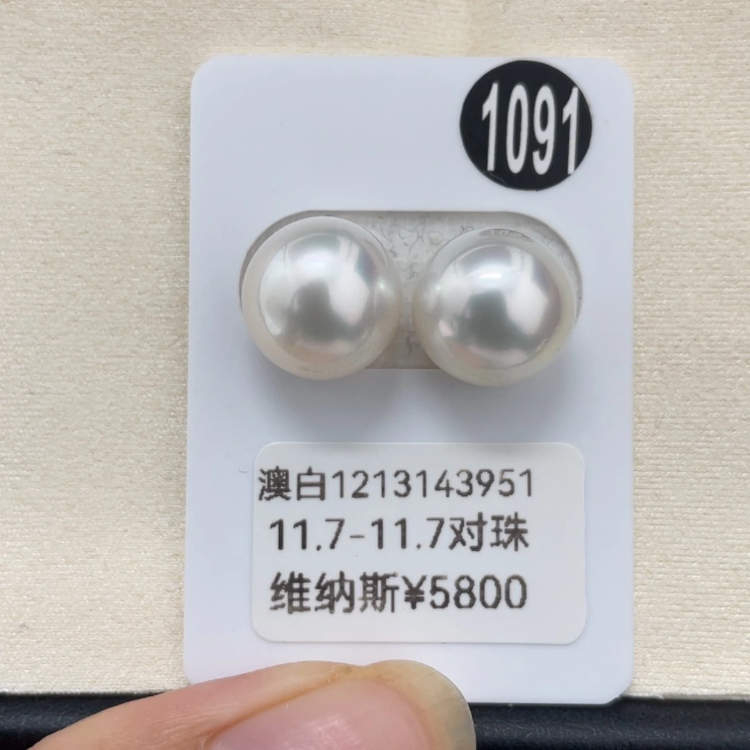 海水珍珠未镶嵌耳饰大证维纳斯澳白可定制