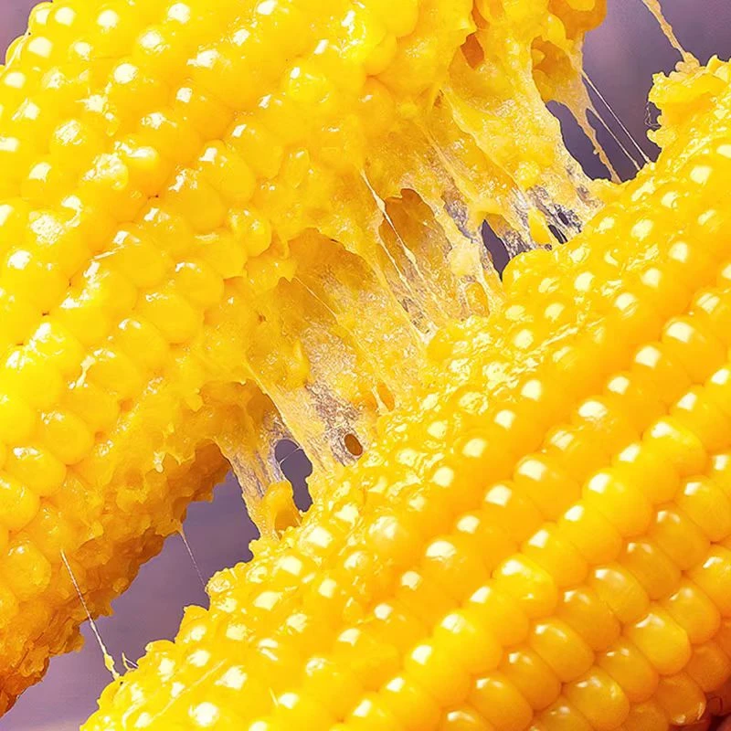 黄甜糯黄糯玉米种子香甜黄粘玉米种籽四季播高产大田玉米种子早熟