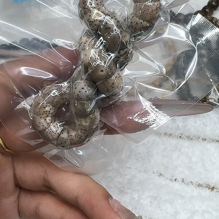 星月菩提手串361卓越星月菩提火烧云猪大肠10单圈