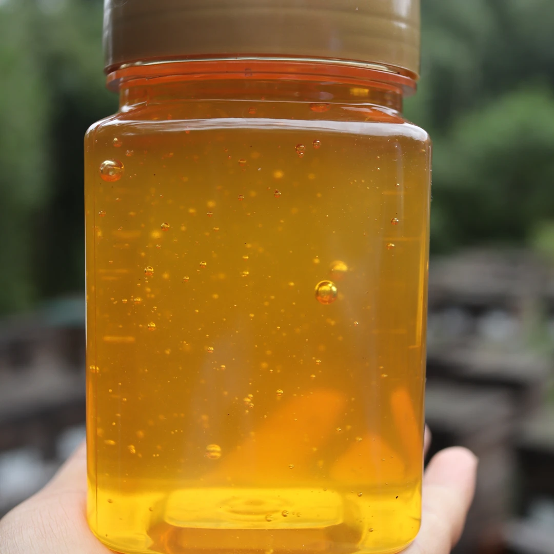 中草五味子蜂蜜蜜蜂农自产自销高浓度蜜