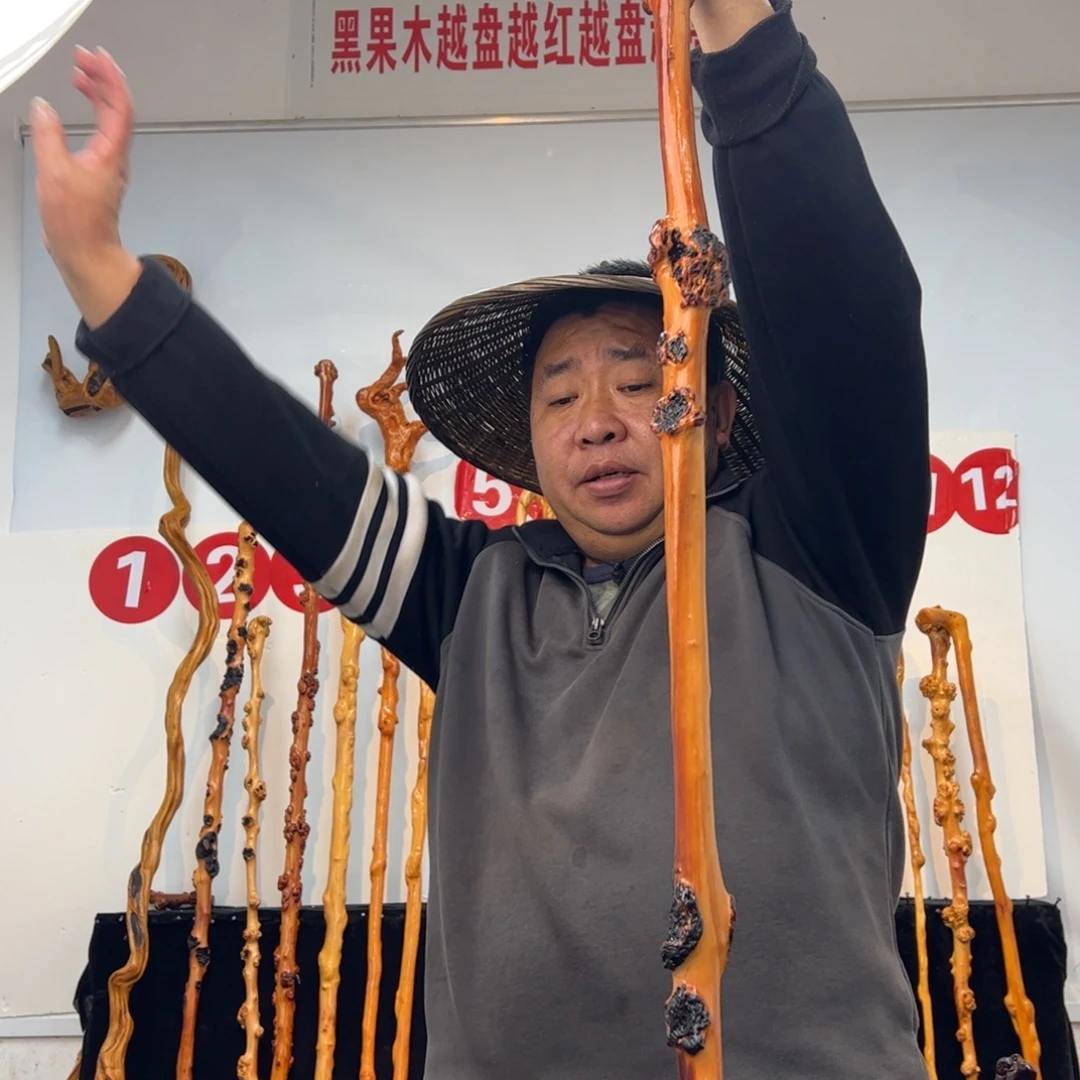 黑果木其他黑果木472