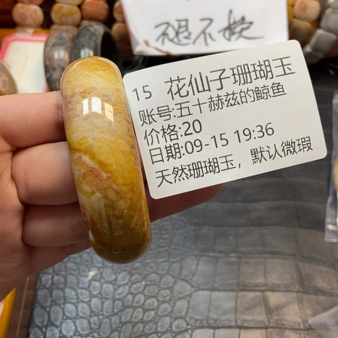 五***鱼未镶嵌硅化珊瑚（珊瑚玉）珠宝半成品15