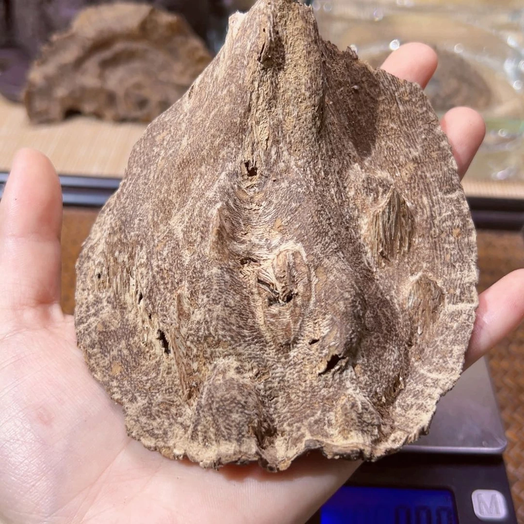 【闪购商品】香榧木海南木料大山老顶7.9克