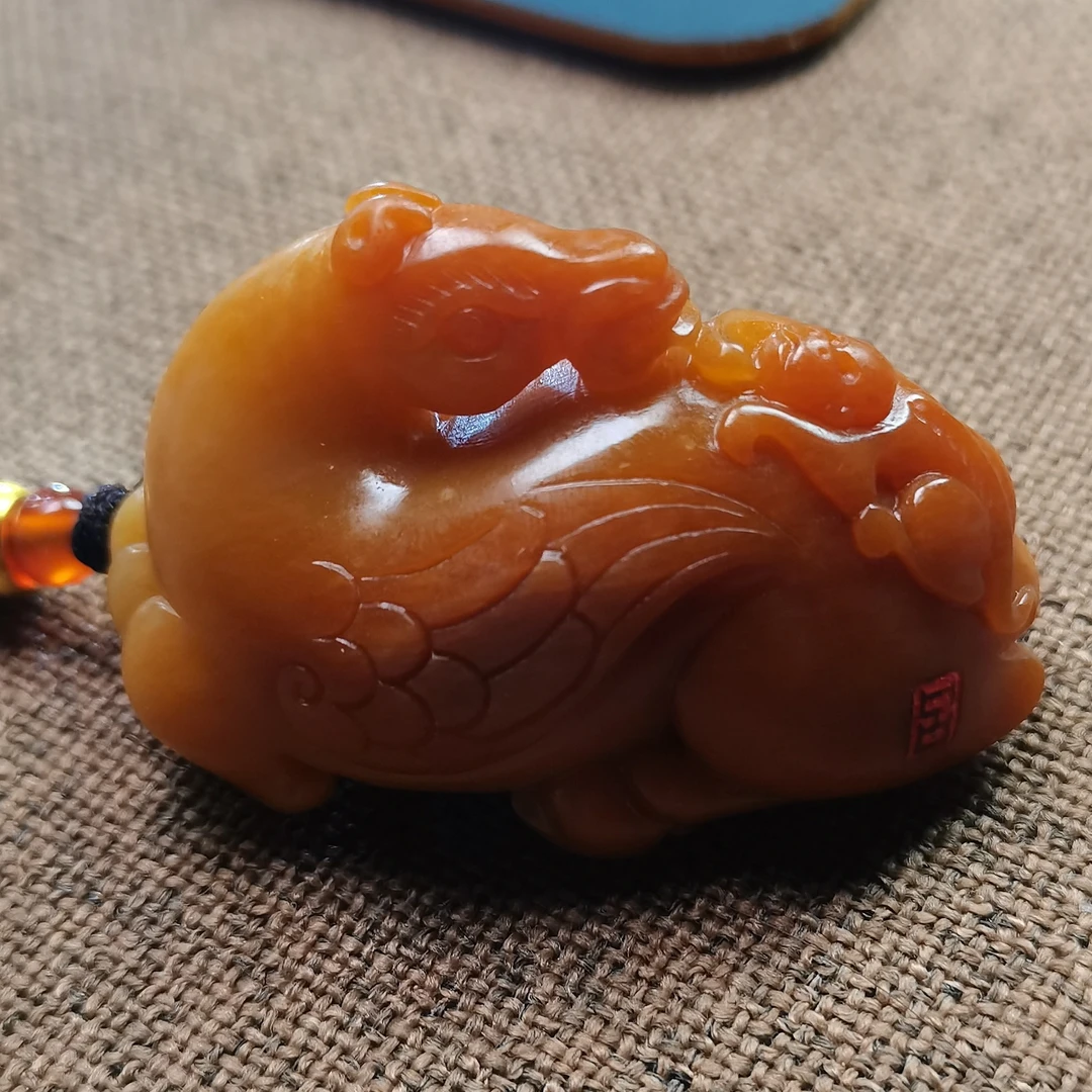 石包8.11HX多样性拍一发一