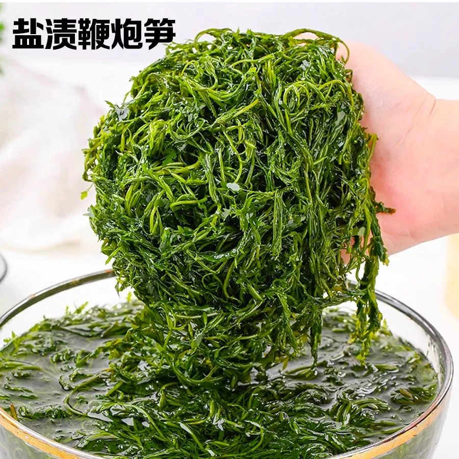 【到手五斤】盐渍鞭炮笋马尾藻凉拌菜xs