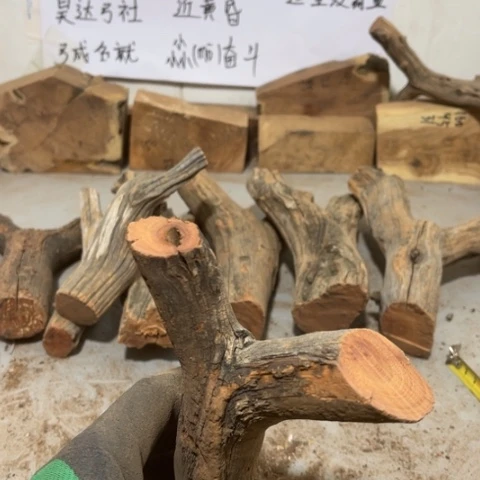 大果紫檀（缅甸花梨）淡**尘