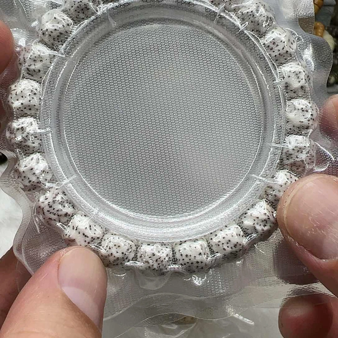 星月菩提手串17卓越原脂白星月菩提单圈无相1.0