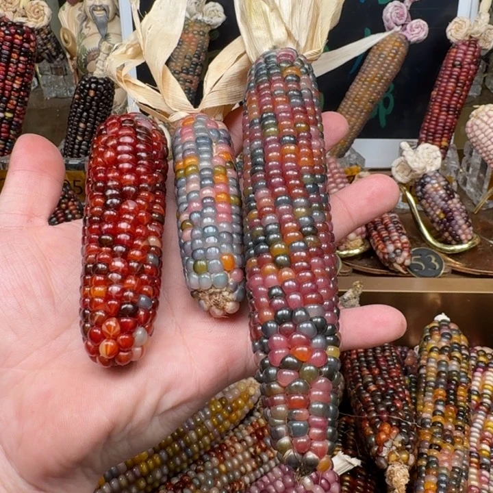 柏香籽/百香籽吊坠仰**空