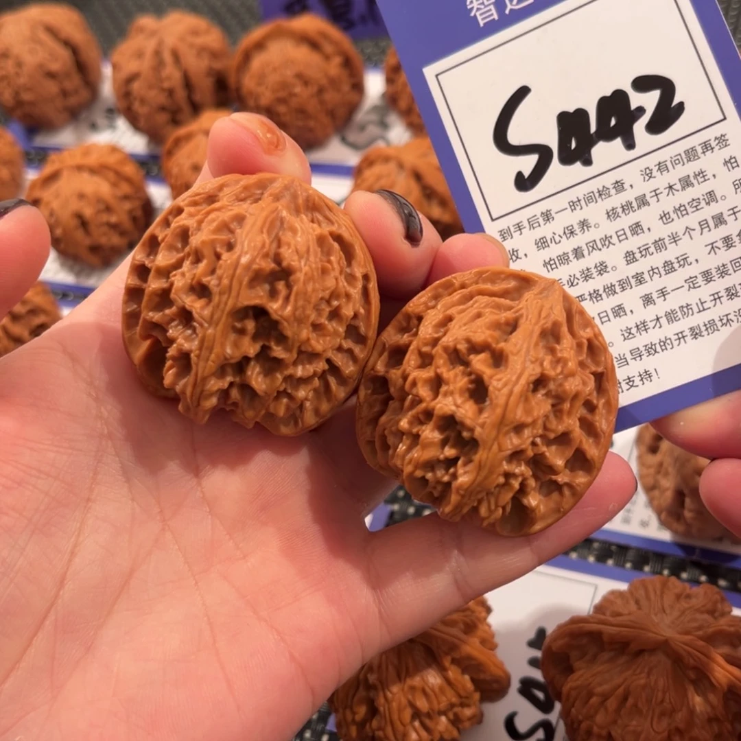 核桃S442号苹果园41尺