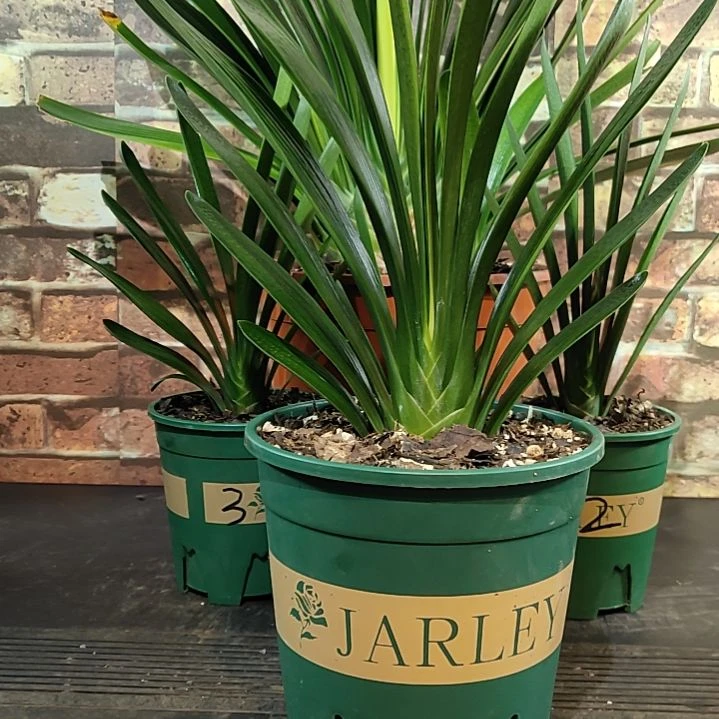 完全开放111111111