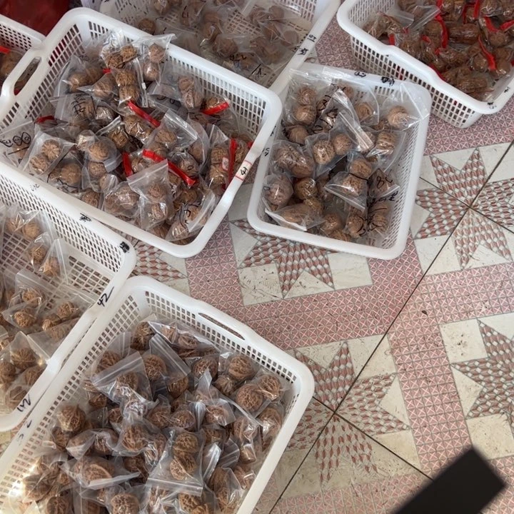 文玩核桃吊坠新手大礼包19.9