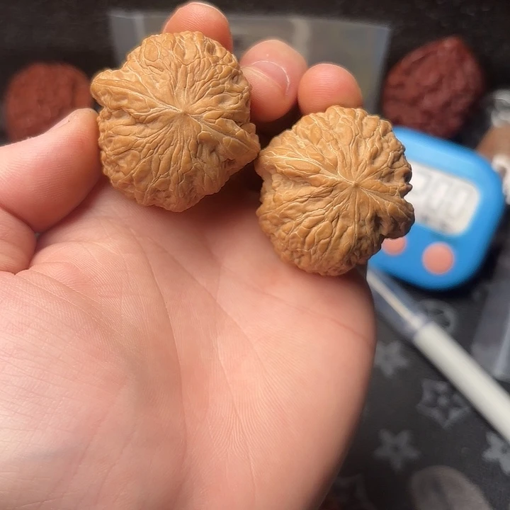 把件文玩核桃40边40肚铁锤