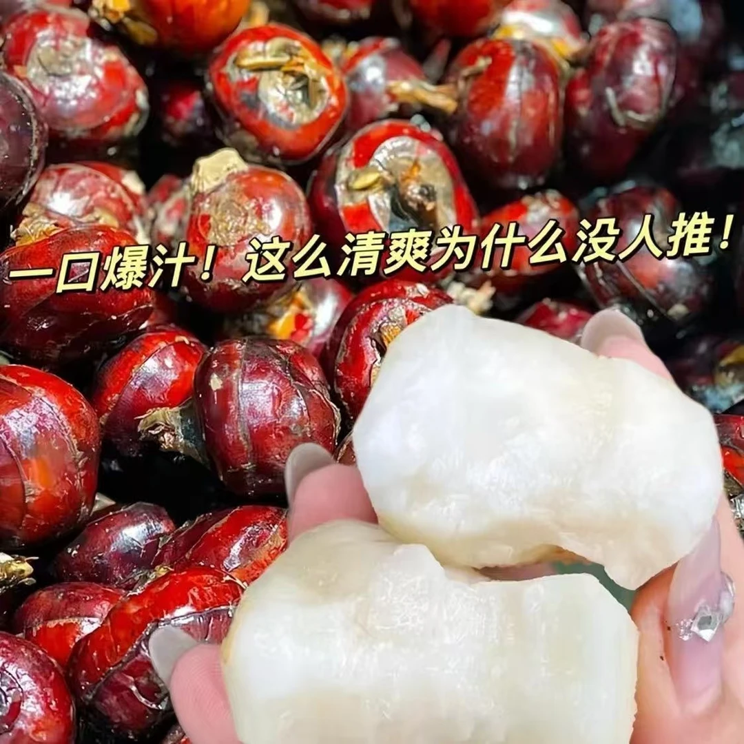 【固体物40%】糖水马蹄罐头425g马蹄罐头【支持集采 口感好】