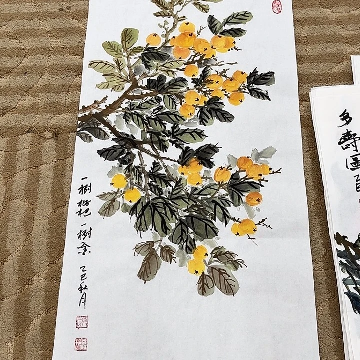 国画花鸟等多种鸟类的栖息地和