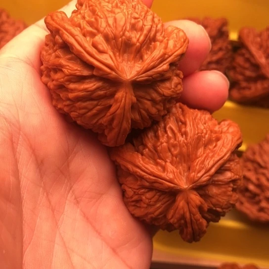 天***角核桃核桃核桃核桃核桃