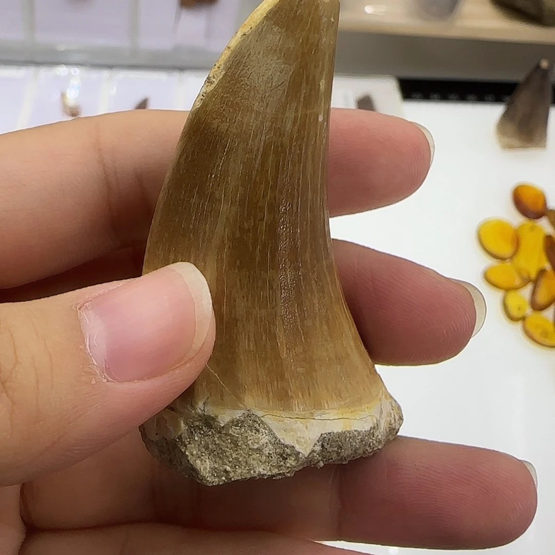 琉璃/树脂/塑料类