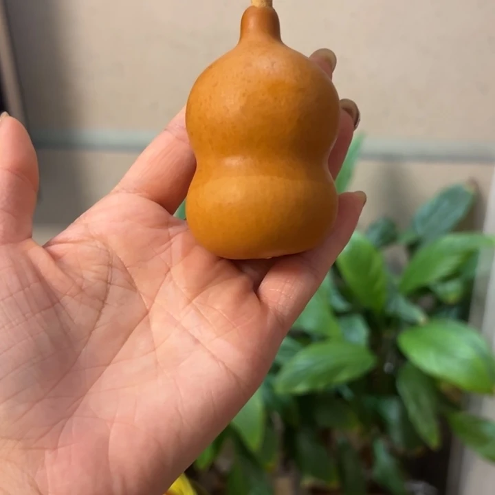 一****?葫芦葫芦葫芦葫芦