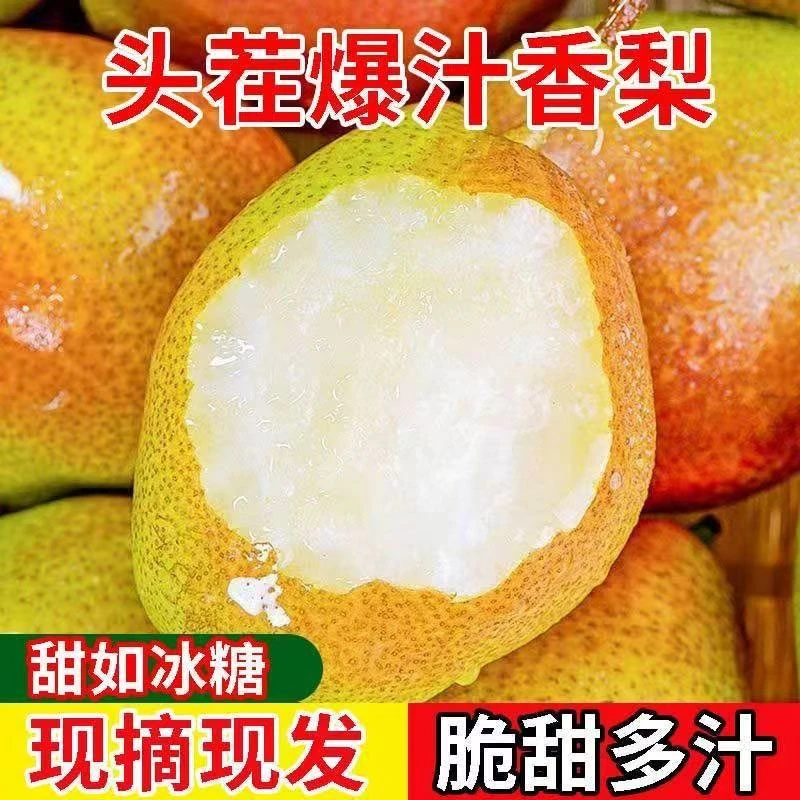正宗头茬7号媚梨新香梨香甜皮薄口感脆甜多汁产地直发坏果包赔