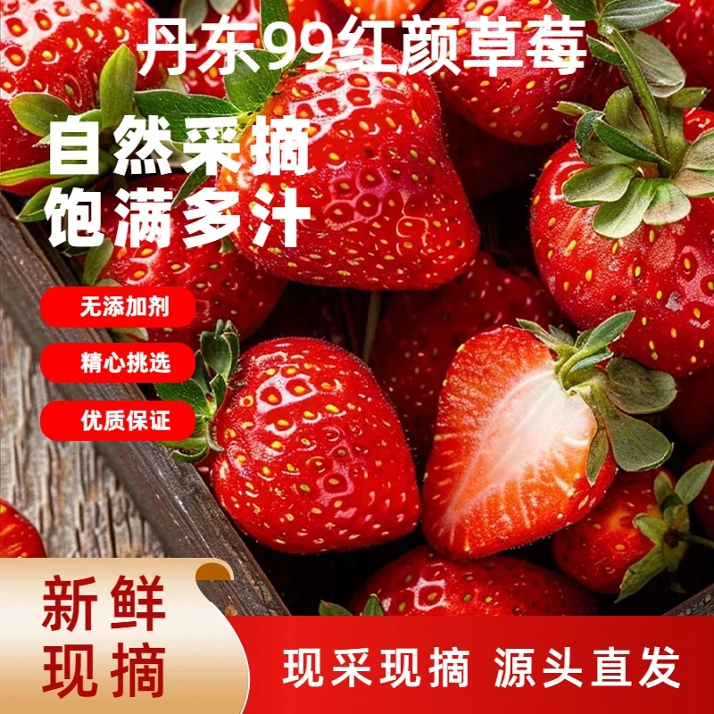 【精选礼盒】丹东九九草莓2.2斤牛奶红颜草莓现摘现发草莓特大果