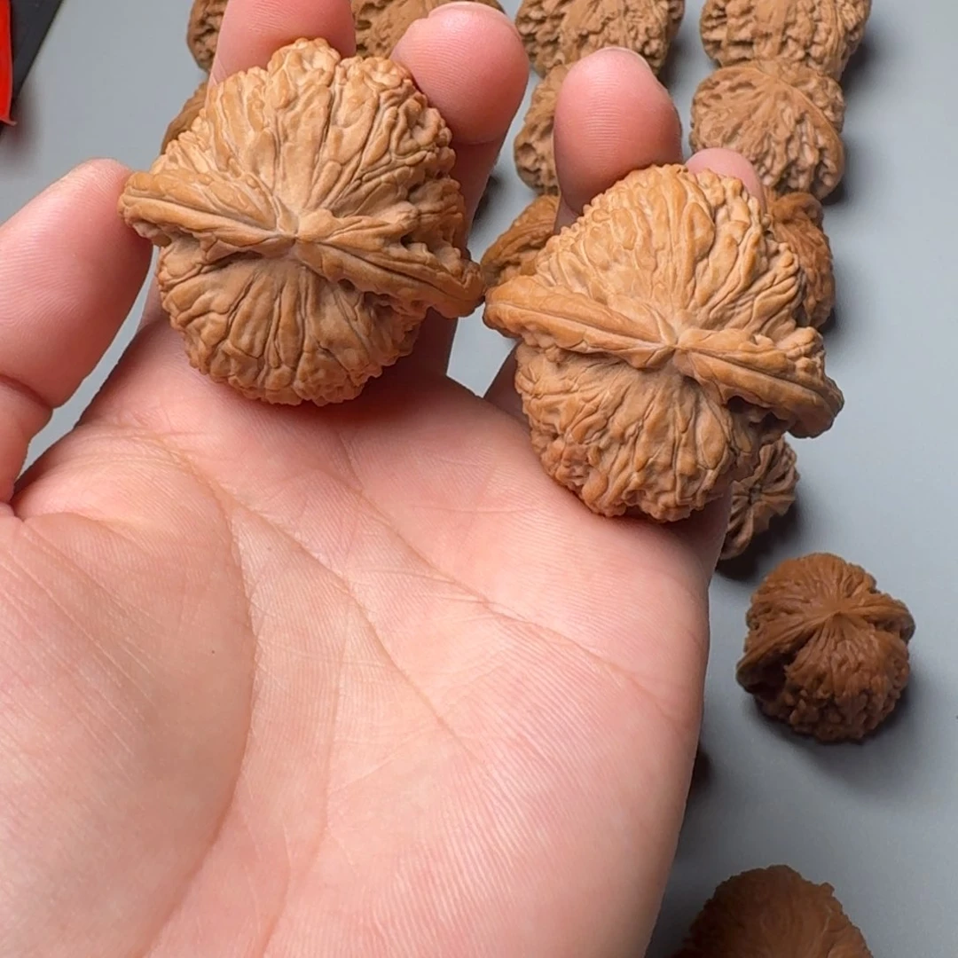 全品44白狮子123456789000