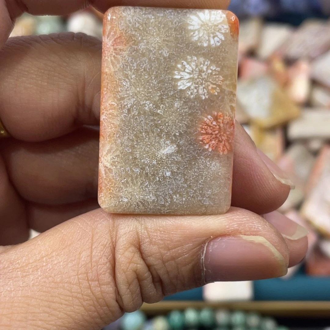 未镶嵌手镯硅化玉