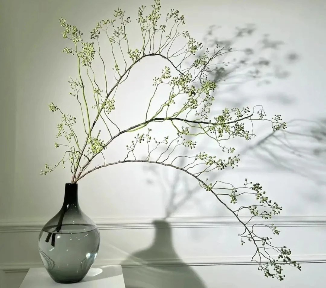 AA级山归来丨高端鲜切花 枝条曼妙 禅意室内装饰