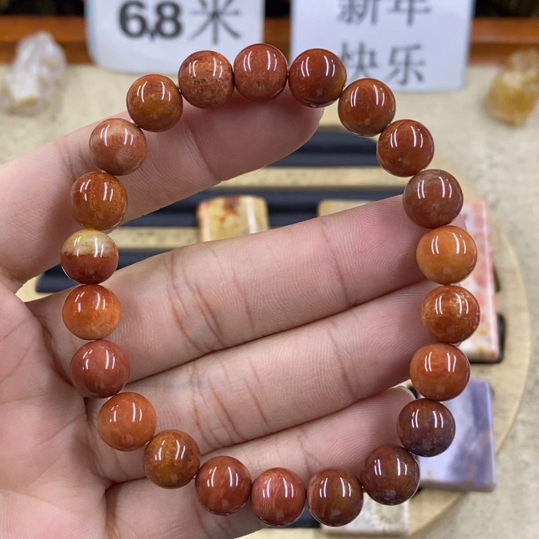 硅化珊瑚（珊瑚玉）A423未镶嵌