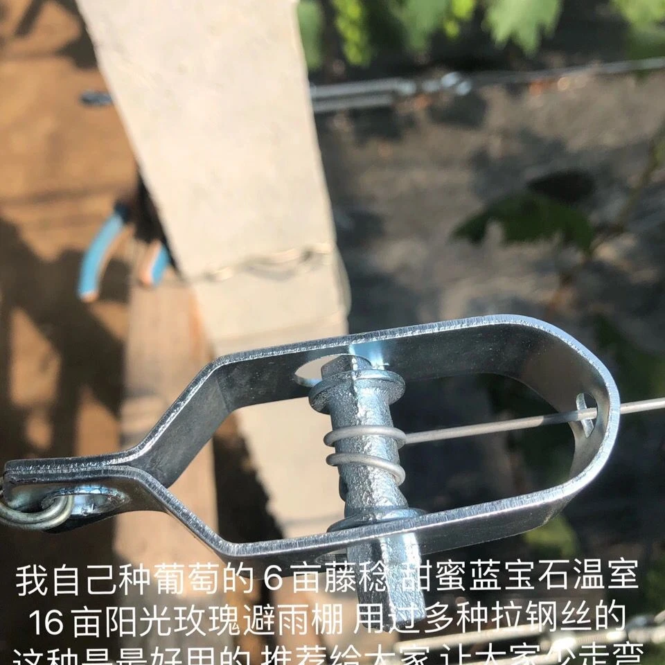 大棚紧线器紧绳葡萄架钢丝绳拉紧器镀锌小型铁丝卡扣紧固收紧器