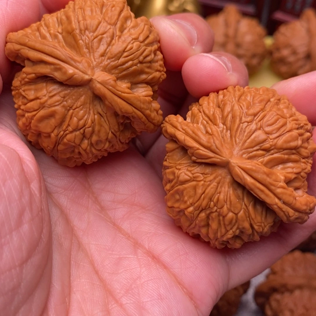 文玩核桃把件全品毕业肉球绝配白狮子43尺