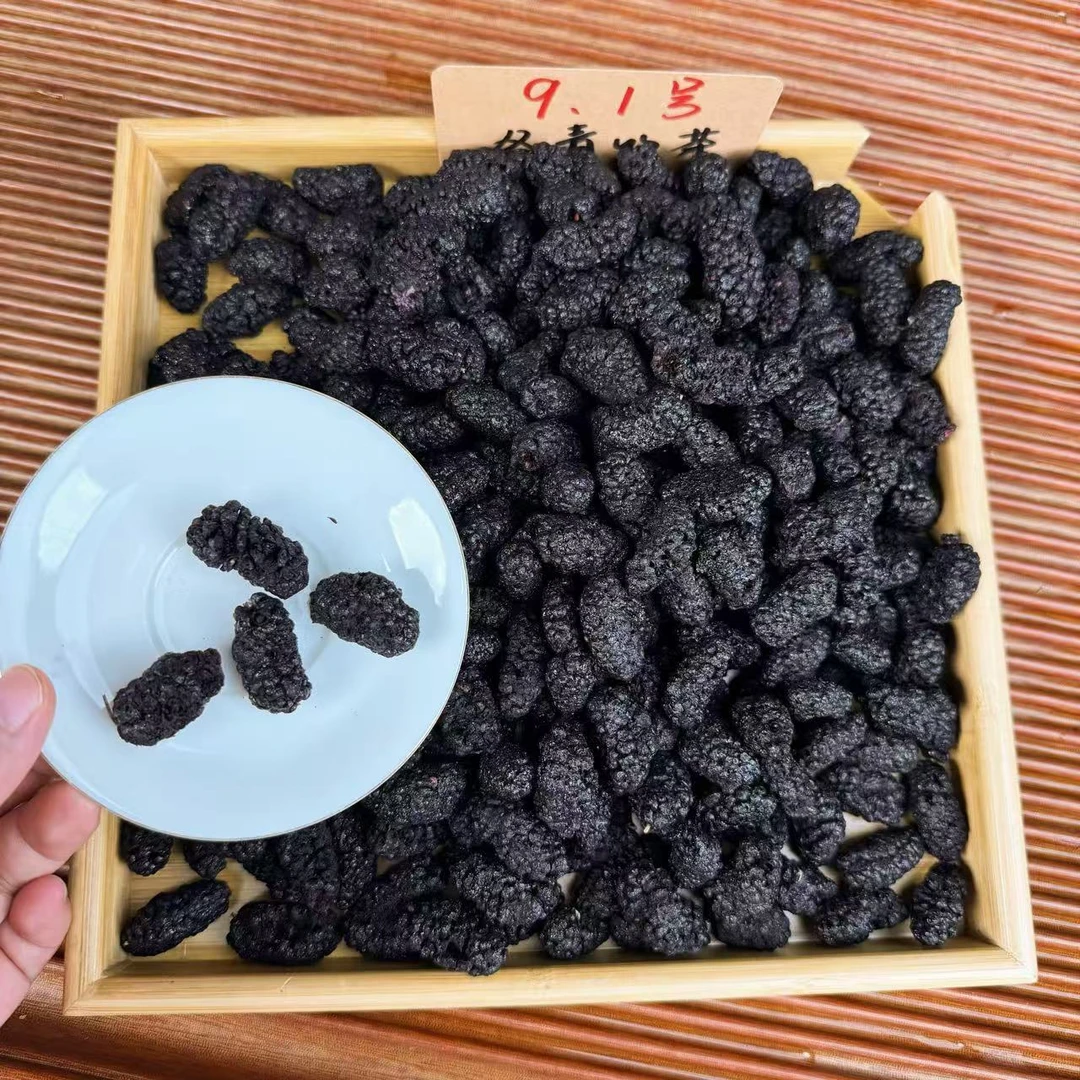 四川盐边冻干老树黑桑葚 酥脆可口 冬青收茶