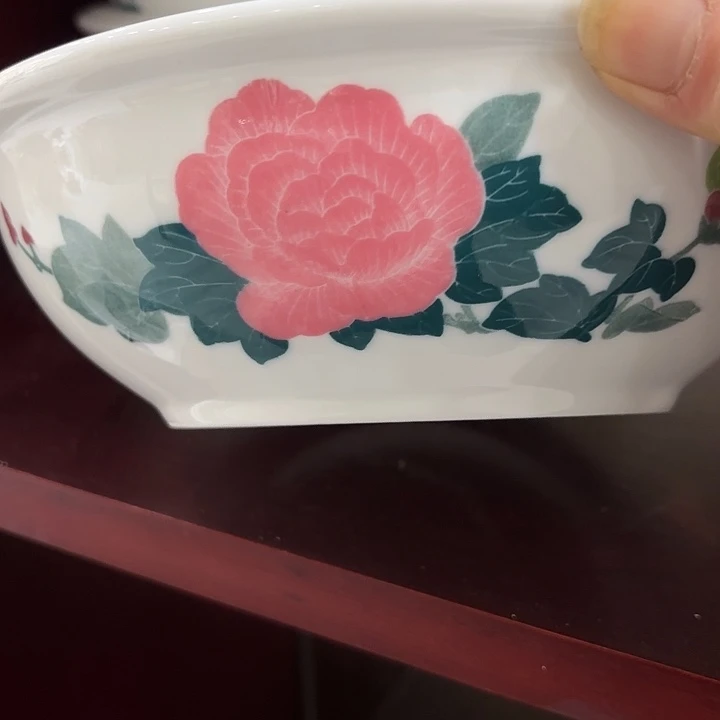 22公分芙蓉花汤汤鹏